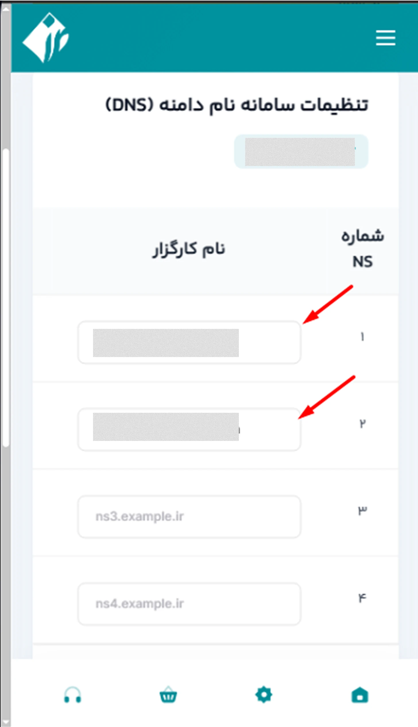 تنظیم دی ان اس